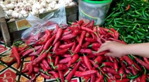 Ternyata ini penyebab kenapa petani cabai di Tasikmalaya saat harga per kg menembus Rp 100 ribu.