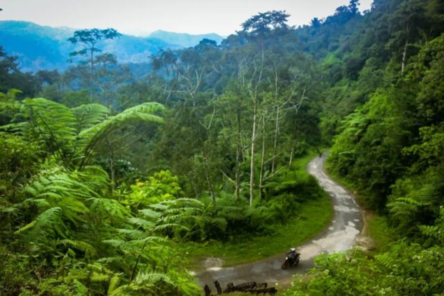 Jelajahi Jawa Barat di wisata alam Gunung Singkup Pangandaran.