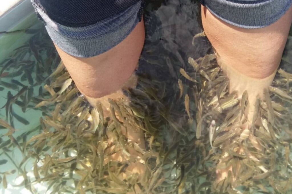 Terapi ikan di objek wisata Citumang Pangandaran merupakan wahana lain yang cukup menarik untuk dicoba saat jelajahi Pangandaran.