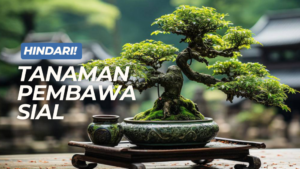 Tanaman Pembawa Sial